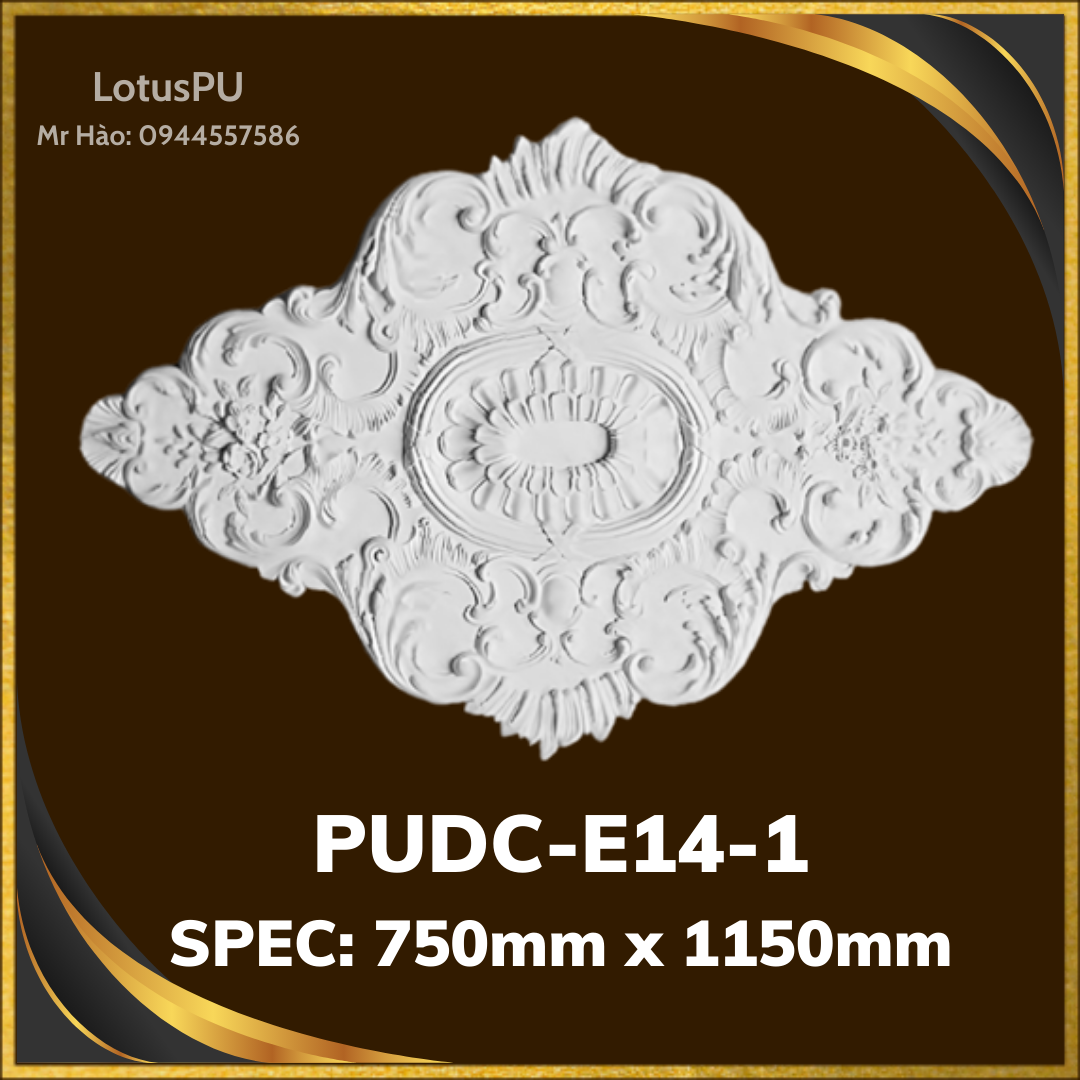 PUDC-E14-1