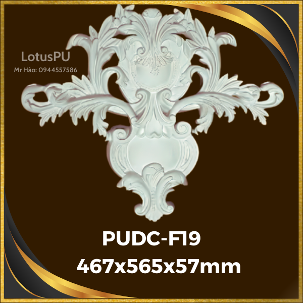 PUDC-F19