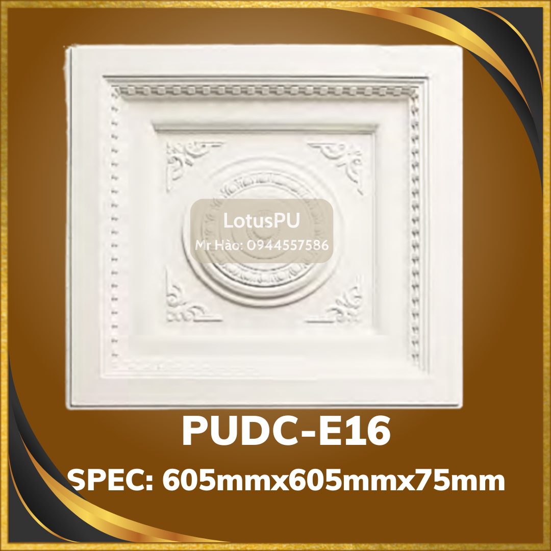 PUDC-E16-1
