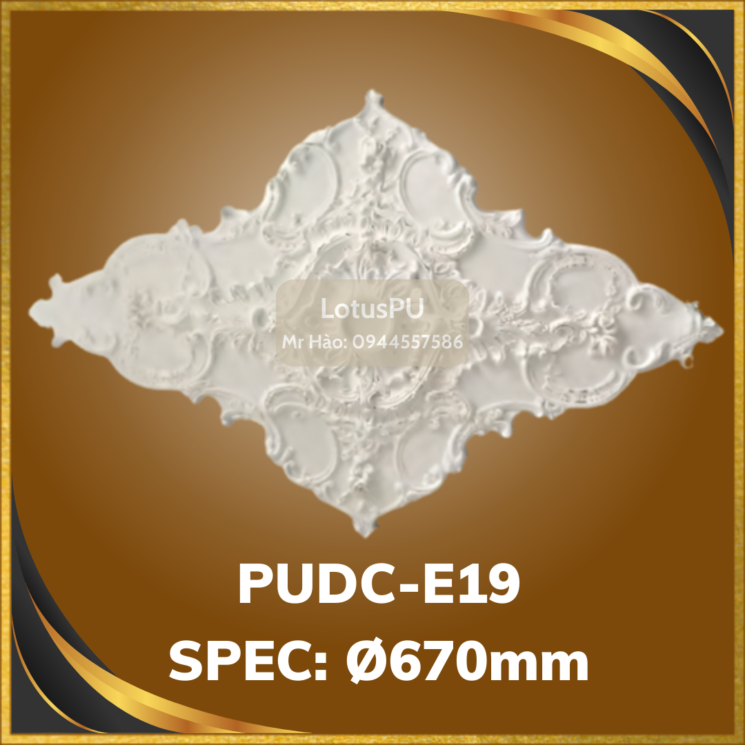 PUDC-E19