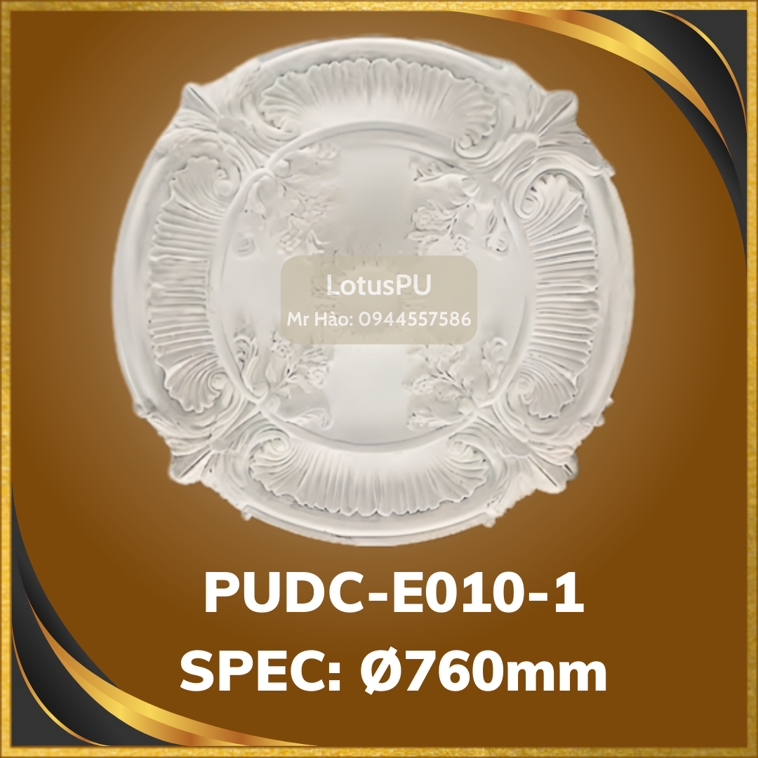 PUDC-E10-1
