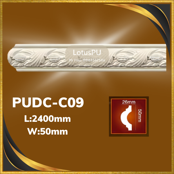 PUDC-C09 