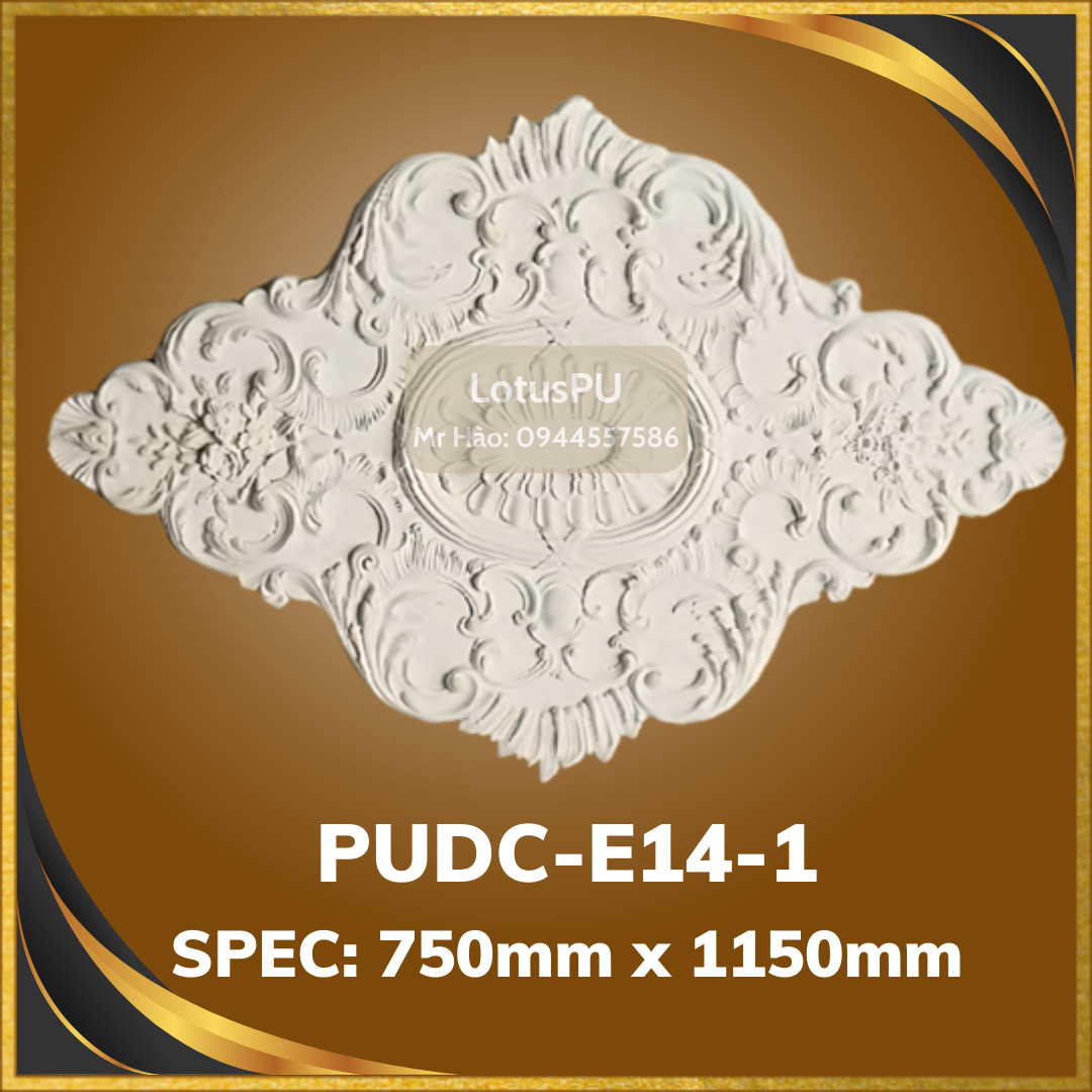 PUDC-E14-1