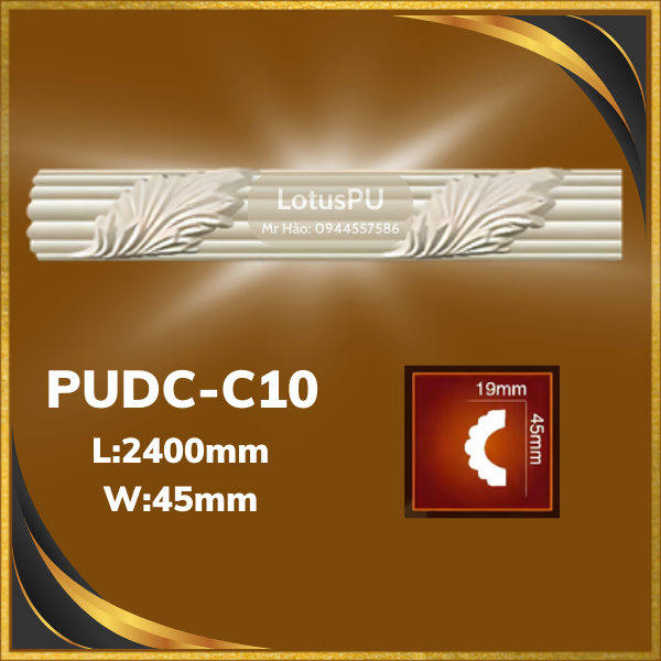 PUDC-C10