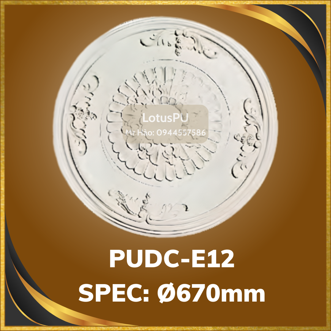 PUDC-E12