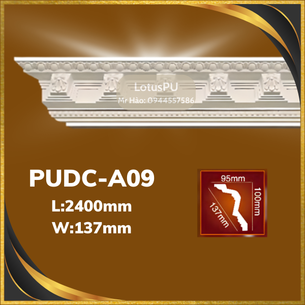 PUDC-A09