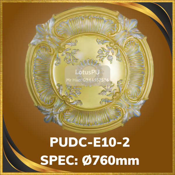 PUDC-E10-2