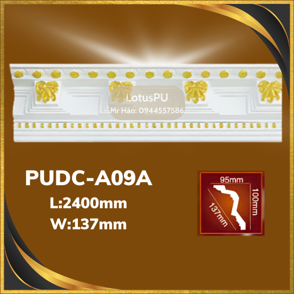 PUDC - A09A